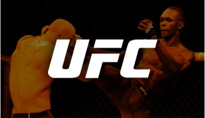 UFC 271